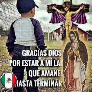 Meet your Posher, Luis